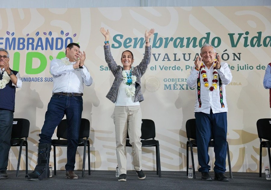 Con el programa Sembrando Vida, se siembra vida y patria: Claudia Sheinbaum