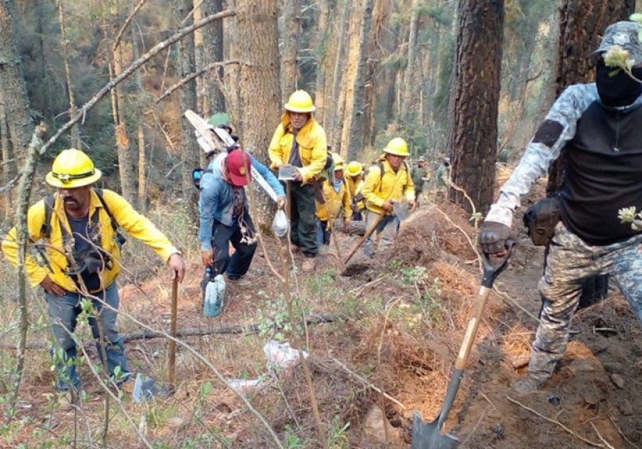 Incendio forestal en Libres est&aacute; controlado al 95 por ciento y 85 por ciento de liquidaci&oacute;n