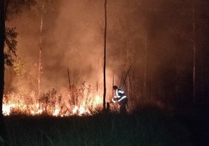 Bomberos de San Pedro en cerro Zapotecas