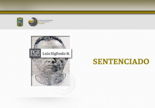 Condenado a 7 a&ntilde;os de prisi&oacute;n por fraude millonario en Puebla