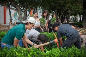 M&aacute;s de medio mill&oacute;n de j&oacute;venes se movilizaron en la jornada nacional por la paz: IMJUVE