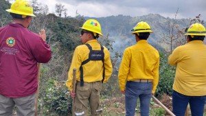 Ante incremento de incendios en 2026, gobierno estatal intensifica acciones de combate