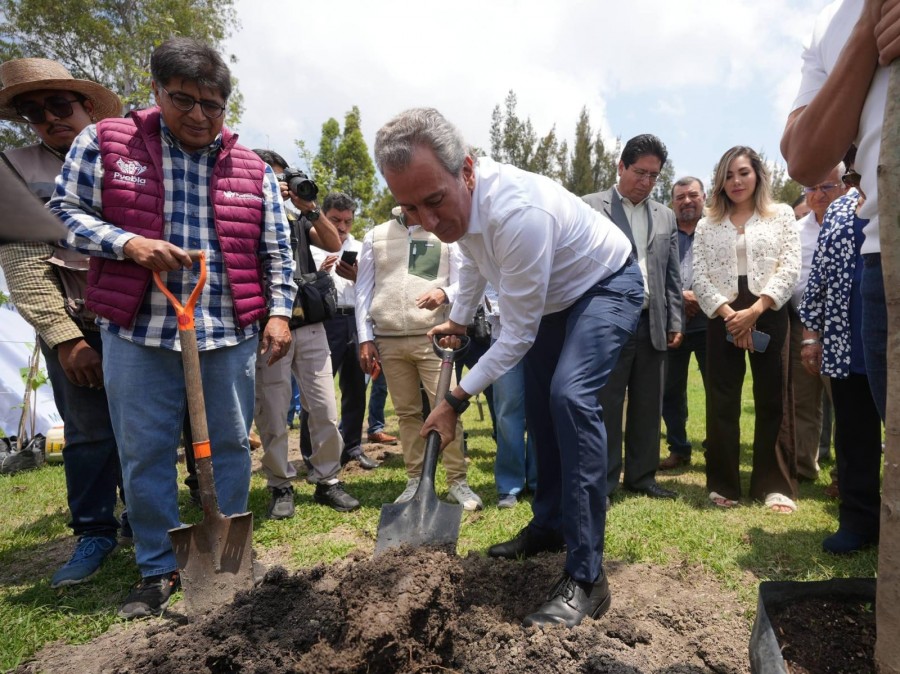 Avanza Pepe Chedraui en la recuperaci&oacute;n de &aacute;reas verdes con &ldquo;Ra&iacute;ces del Futuro&rdquo;