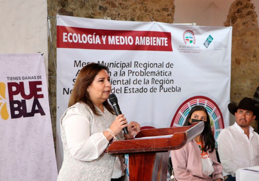 Exhorta Medio Ambiente a ayuntamientos de sierras Norte y Nororiental conformar programas de Ordenamiento