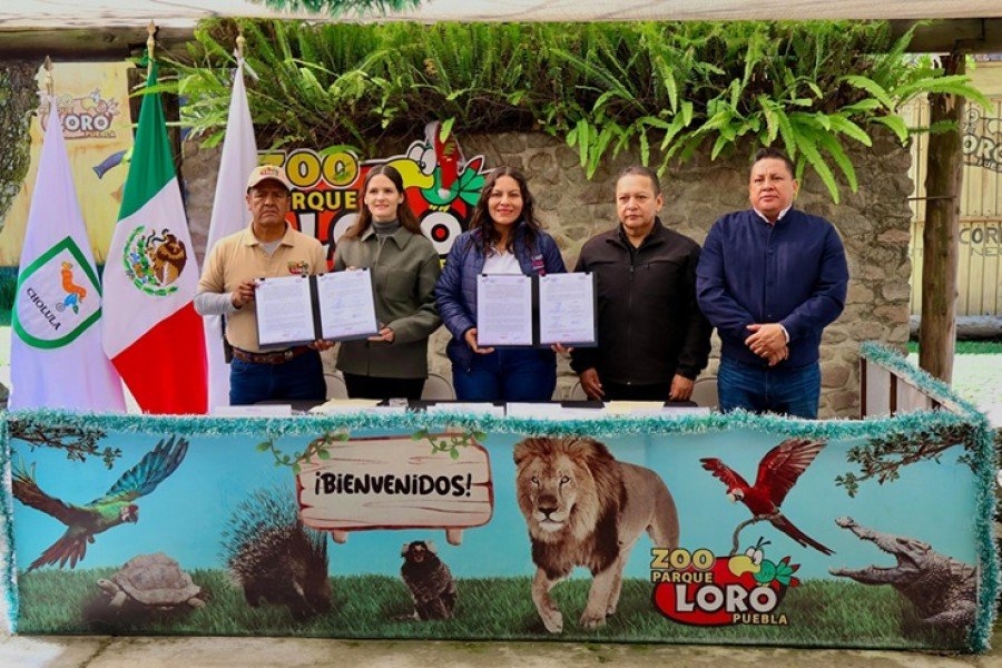 Fortalece San Andr&eacute;s Cholula atenci&oacute;n de emergencias mediante convenio con Parque Loro Puebla