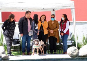 Cumple Medio Ambiente ciclo de rescate y adopción de canes