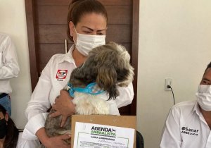 Protección de animales debe ser política pública: América Soto
