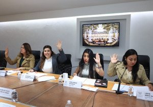 Comisión del Congreso aprueba exhorto para que la SEP sensibilice sobre la importancia del Día Internacional de la Mujer