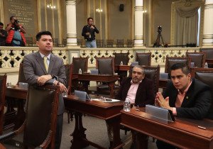 Proponen en el Congreso implementar programa &quot;Adopta un Árbol&quot;