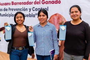 Refuerza gobierno estatal prevención del gusano barrenador en la Sierra Negra