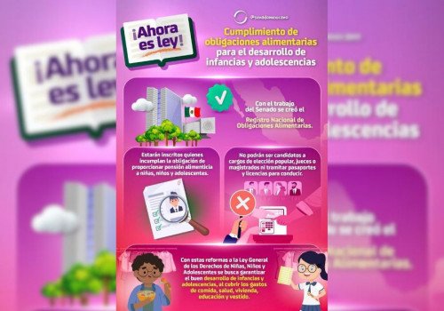 #Infograf&iacute;a I Cumplimiento de obligaciones alimentarias