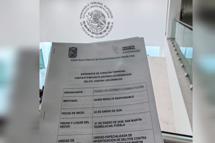 Atiende Bienestar Animal de Texmelucan reportes de maltrato a seres sintientes