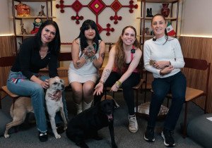 Claudia Sheinbaum destaca la importancia de rescatar animales en situación de calle