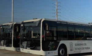 Se mantiene tarifa gratuita en Línea 4 de RUTA: Norma Layón