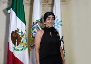 Vine a darle autoridad moral a la CDH: Sánchez Soya