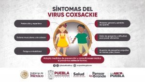 Atiende Gobierno de Puebla brote de virus coxsackie en municipios