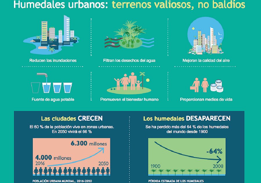 Los humedales y sus funciones vitales para el planeta