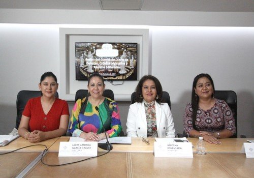 Presentan plan de trabajo del Comit&eacute; de Diario de Debates, Cr&oacute;nica Legislativa y Asuntos Editoriales