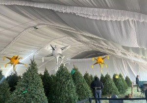 Invitan a reciclar &aacute;rboles de Navidad con campa&ntilde;a de econom&iacute;a circular en Puebla