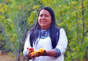 Alza de 100 mdp para el campo con gobierno de la 4T, señala Altamirano