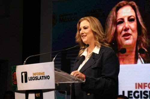 Primer informe legislativo