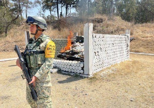 Ejercito incineran 119 kilos de narc&oacute;ticos