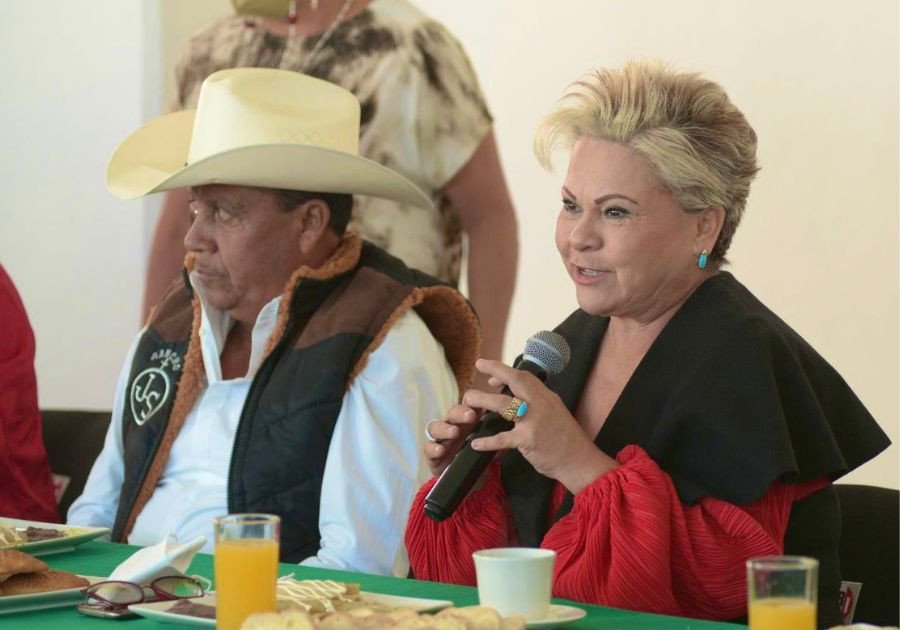 Pide licencia Isabel Merlo para separarse de diputaci&oacute;n local