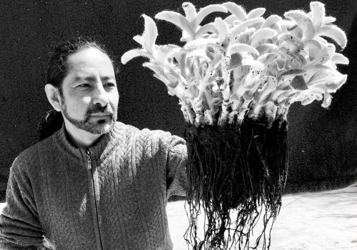 Pandemia obliga a artistas a explorar caminos de difusión
