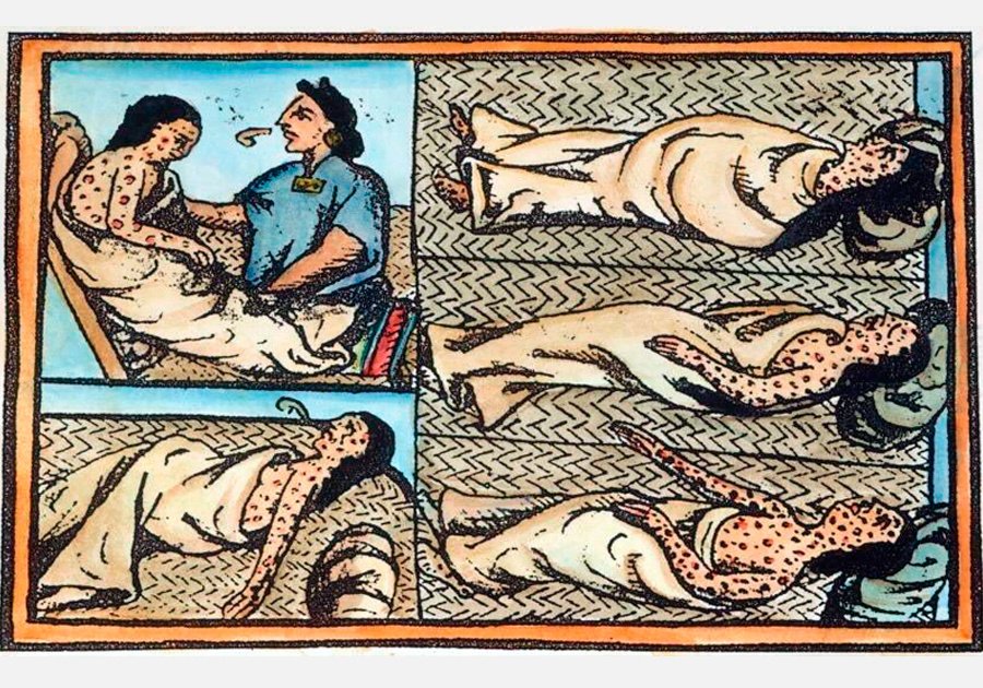 El holocausto viral de América