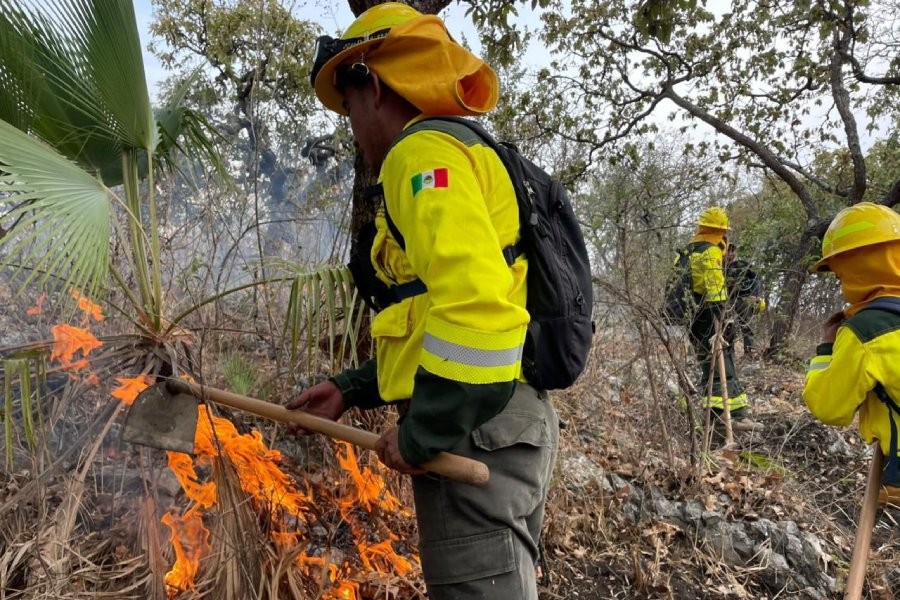 Coordinación interinstitucional logra sofocar incendio forestal sin daños a población en Cohetzala