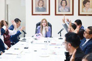 SEDIF construye familias con adopciones &aacute;giles y transparentes