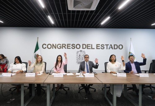 Declaran desierta convocatoria para la integraci&oacute;n de Consejo Ciudadano en materia de B&uacute;squeda de Personas