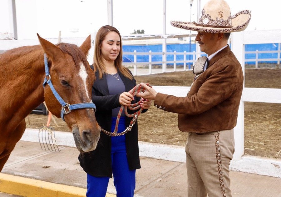SMDIF Puebla entrega a Fundaci&oacute;n CORCEL dos equinos para su retiro