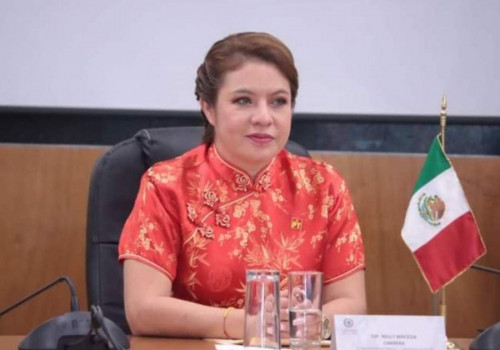 Desde Zoom de Nelly Maceda ofenden a Santiago Creel