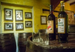 Presenta Turismo riqueza de Pueblos Mágicos de Puebla en Los Pinos