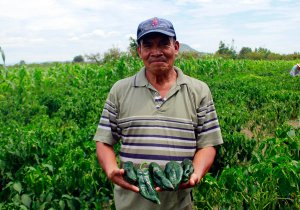 Promueve SDR consumo local de ingredientes del Chile en Nogada