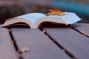 Escribir, leer y aprender: el circuito silencioso de la felicidad