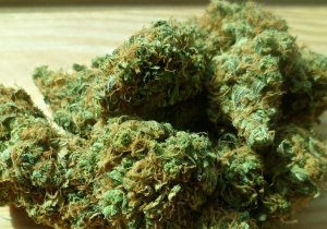 Clausuran “picadero” de droga en mercado de Puebla