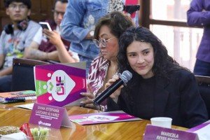 Presenta DIF Puebla Capital a regidores acciones en favor de la prevenci&oacute;n y atenci&oacute;n a la Protecci&oacute;n de los Derechos de Grupos Prioritarios