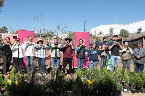 Realiza la diputada Norma Estela Pimentel jornada de reforestaci&oacute;n en San Lorenzo Almecatla