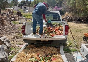 Impulsa Gobierno de Pepe Chedraui proyecto de lombricomposta en la capital