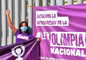 Avalan diputados &quot;Ley Olimpia&quot;