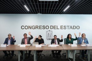 Aprueba Comisión del Congreso exhorto para verificar mercancías de procedencia extranjera