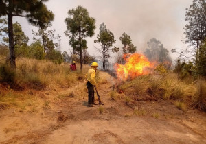 Liquidados los incendios forestales de los municipios de Libres y Coyomeapan