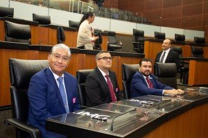 SOSAPATEX recibió la “medalla al mérito Ben Lamat 2025”, en el senado de la república mexicana