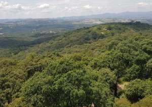 Protección a Flor del Bosque no está concluida, acepta Barbosa