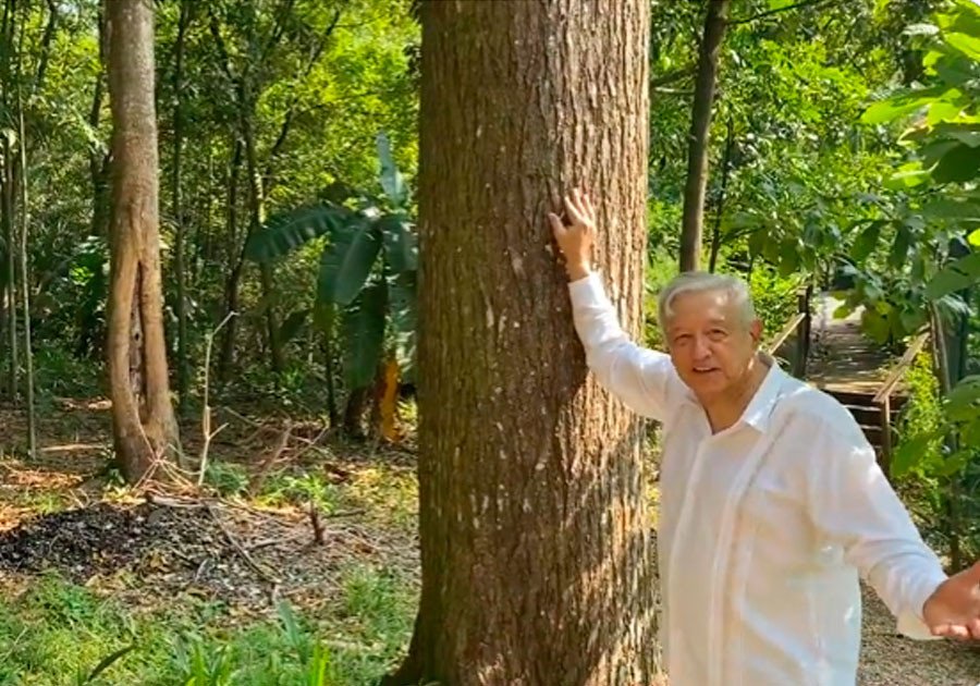 Felicitan a AMLO por su cumpleaños