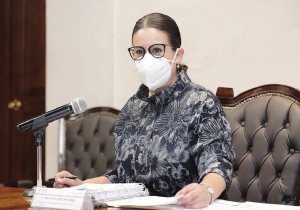 Ana Lucía Hill Mayoral 