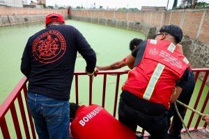Bomberos de Cuautlancingo rescatan con éxito a ser sintiente en vaso regulador