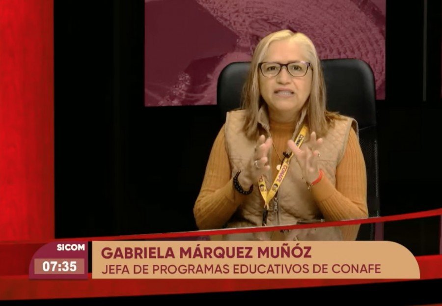 C&oacute;mo opera el CONAFE en zonas rurales: entrevista con Gabriela M&aacute;rquez Mu&ntilde;oz